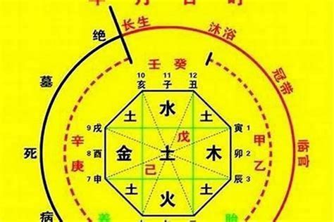 本命卦查询|生辰八字算命、五行喜用神查询（免费测算）